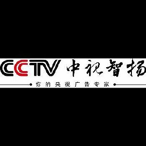 中视智扬国际传媒有限公司