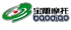 江苏宝雕机动车有限公司