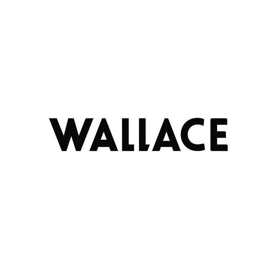 wallace 注册 2017-04-19 23674815      方便食品