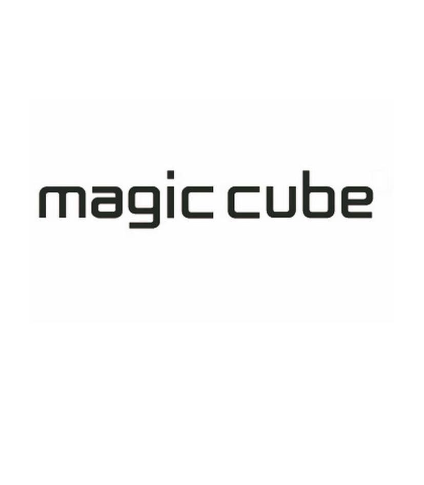 magic cube 商标已注册 2012-02-14 10487808     科学仪器