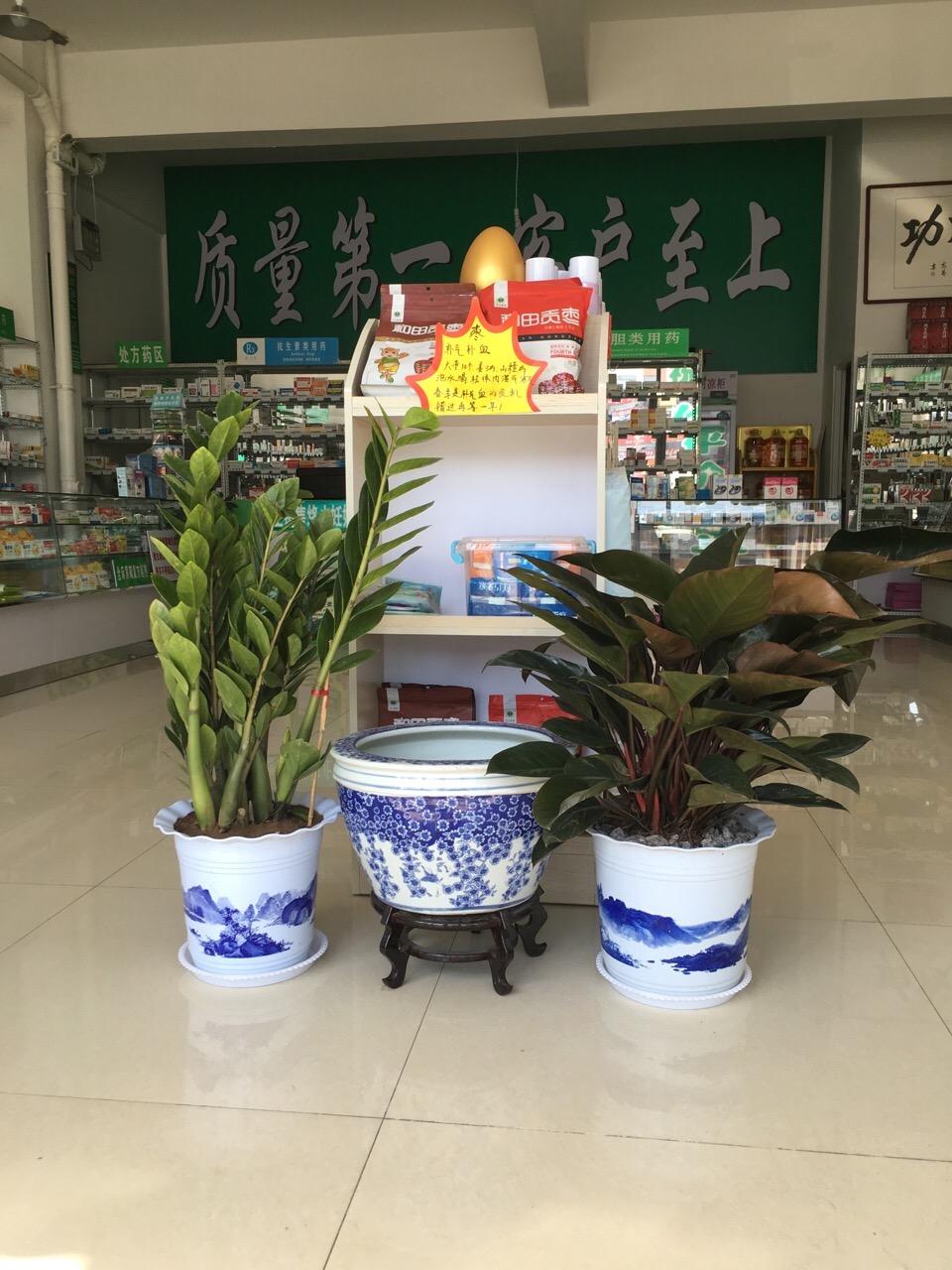 潍坊隆源大药房医药连锁有限公司临朐福洋药店