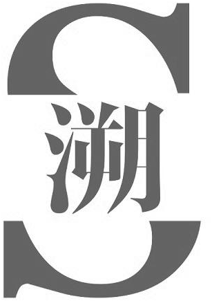 至本医疗科技(上海)有限公司商标_专利信息_专利信息_著作权_资质信息