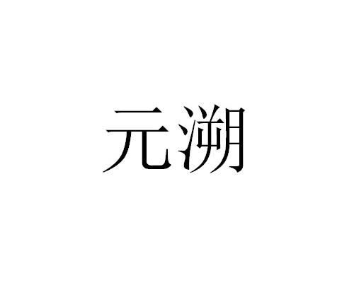 至本医疗科技(上海)有限公司